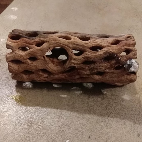 Hermit crab climbing log. - Picture 3 of 4